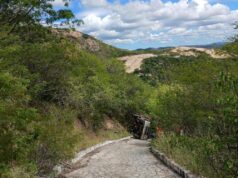 Caminhonete tomba com dois animais na Serra da Tubiba, em Santa Luzia; motorista fica preso nas ferragens