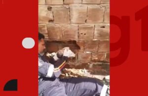 Recém-nascido é encontrado abandonado entre duas residências em Caaporã. Vídeo