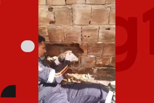 Recém-nascido é encontrado abandonado entre duas residências em Caaporã. Vídeo