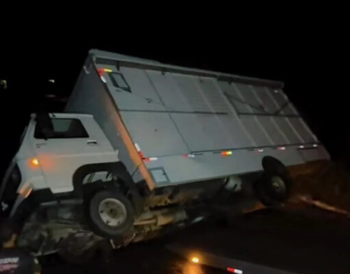 Caminhão que transportava cavalos tomba na Serra do Teixeira; três homens e animais saem ilesos