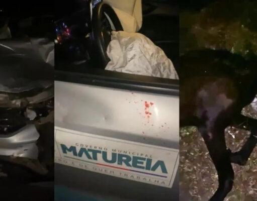 Veículo da Prefeitura de Matureia colide com animal entre Patos e São José do Bonfim; ninguém fica ferido