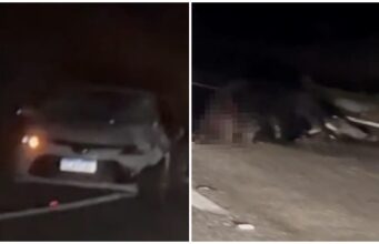 Motorista fica ferido em colisão envolvendo carro e vaca em Piancó
