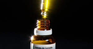Justiça paraibana autoriza paciente a cultivar cannabis para fins medicinais