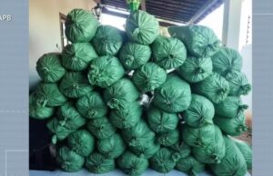 Homem é preso com mais de 400 kg de drogas em propriedade rural, em Sumé