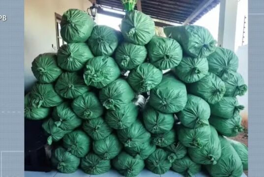 Homem é preso com mais de 400 kg de drogas em propriedade rural, em Sumé