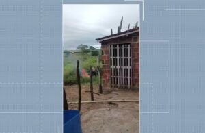Homem suspeito de espancar cachorro e jogar animal em fogueira é indiciado pela Polícia Civil, em Queimadas