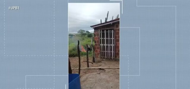 homempresoagressaoanimal