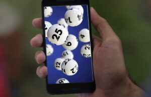 LOTEP: como funciona o jogo do bicho na Paraíba