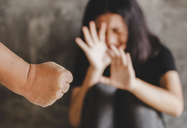 violencia domestica
