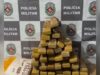 Homem foragido da Justiça do RN é preso em João Pessoa; cerca de 30 kg de maconha são apreendidos