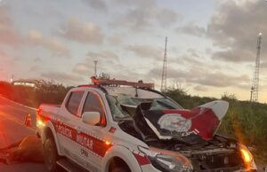 Viatura da Polícia Militar colide com animal na BR-230, em Santa Luzia