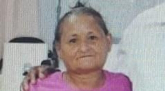 maria inês da silva pereira