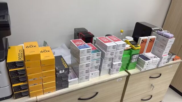 reproducaopfcelulares