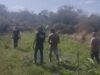 Polícia Civil encontra área preparada para cultivo de maconha em Princesa Isabel