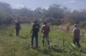 Polícia Civil encontra área preparada para cultivo de maconha em Princesa Isabel