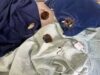 Carregador de celular pega fogo e queima colchão enquanto jovem dormia, em João Pessoa. Vídeo